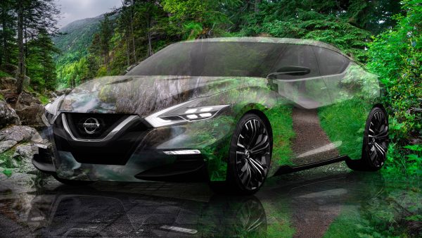 Nissan-Maxima-Sport-Super-Crystal-Nature-At-The-Concert-Glide-Green-Grass-Art-Car